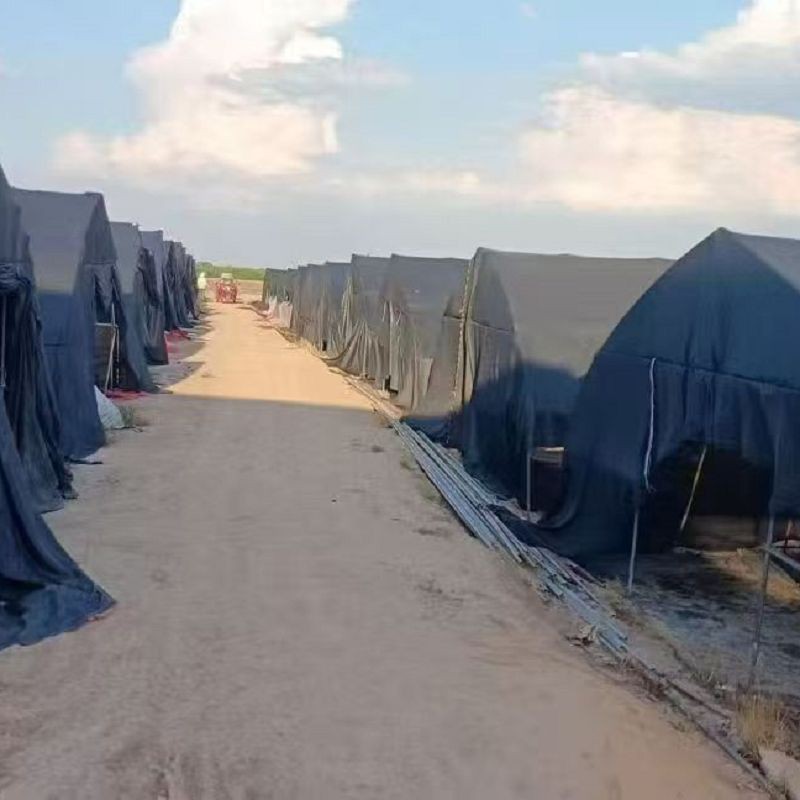 Izolačná a slnečná sieť